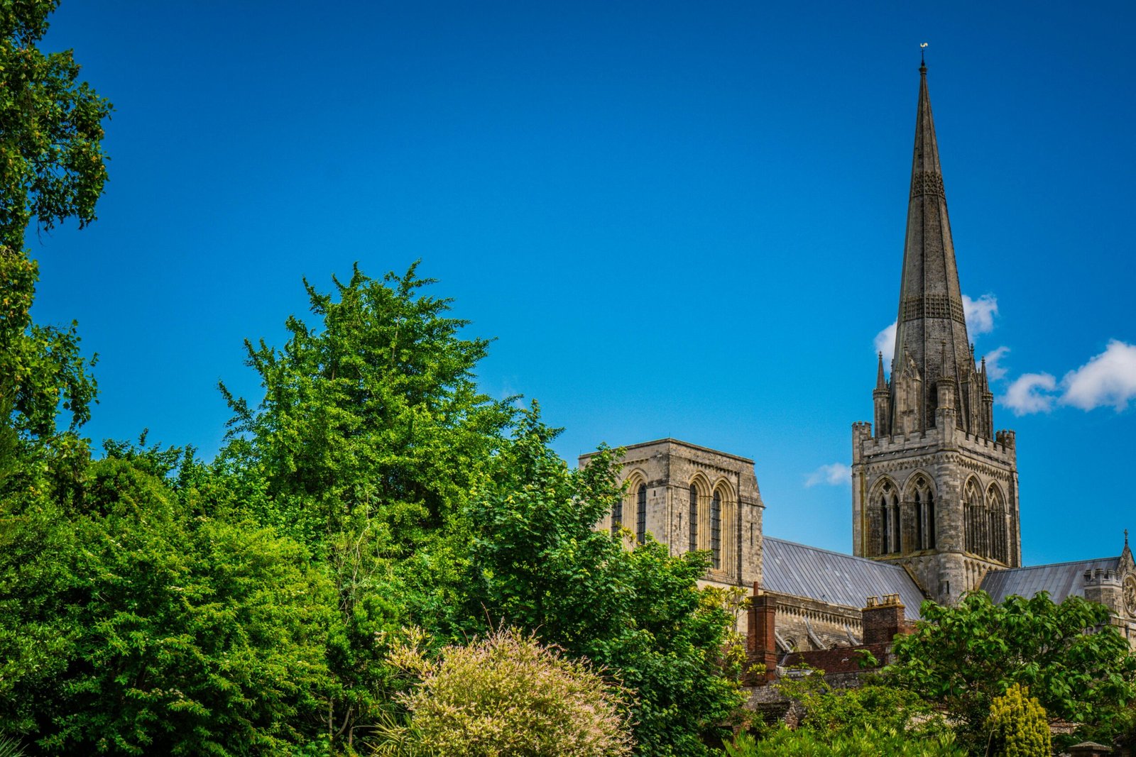 Stunning view of Chichester Cathedral surrounded by vibrant green foliage on a clear day.